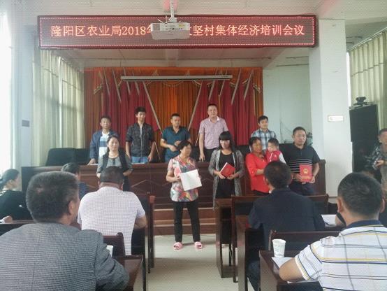 板桥政府新闻网，连接政府与民众的桥梁纽带