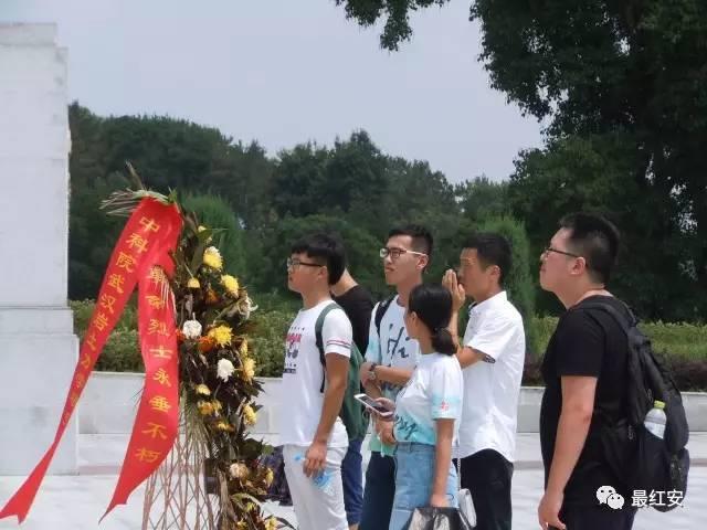 红安政府最新动态，推动发展，服务民生