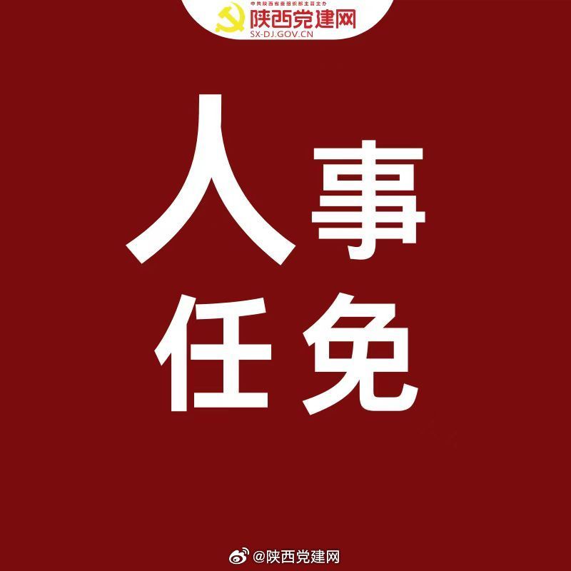 陕西新闻政府人员任免的最新动态