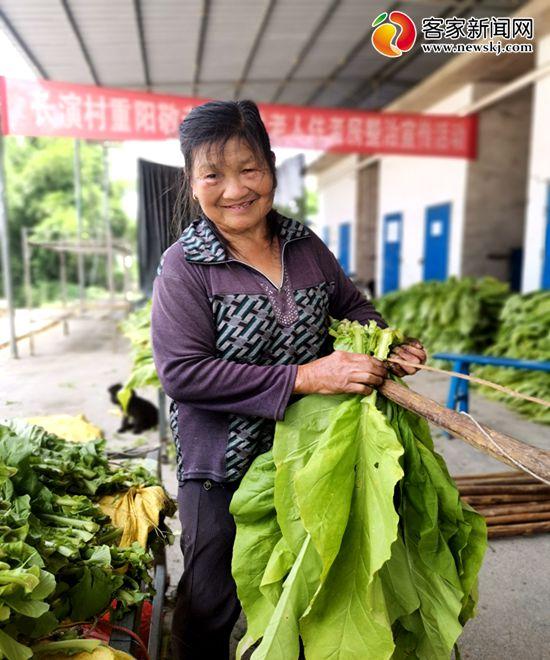 赣州新闻聚焦，赣县政府新闻概览