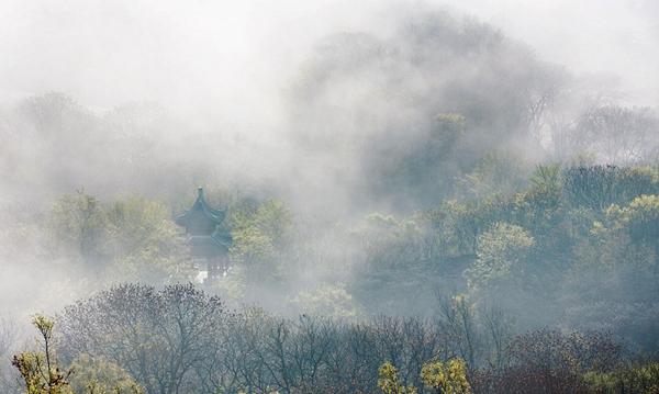 滁州南郊区政府积极推动区域发展，打造美好南郊新闻纪实