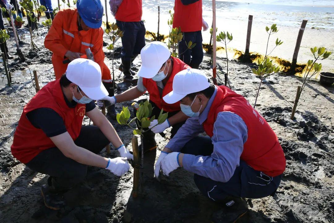 大亚湾区政府新闻发布