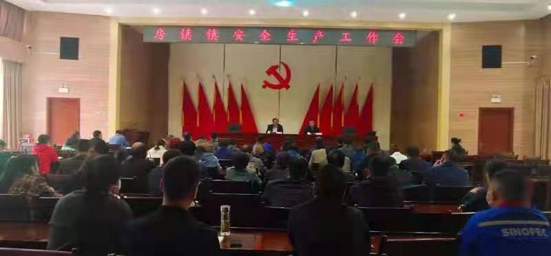 房镇镇政府新闻发布会，揭晓最新动态与举措