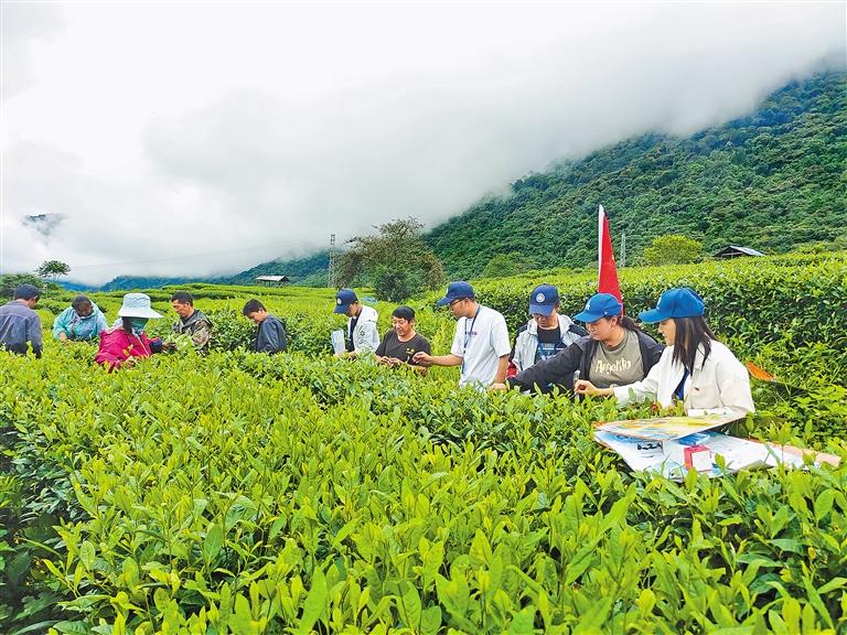 墨脱县旅游文化产业发展带动当地就业增长