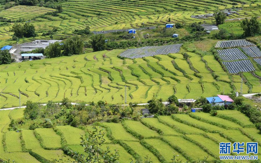 墨脱县加强农业灌溉设施建设，保障粮食生产安全