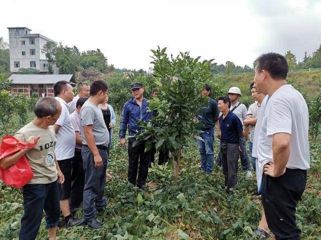 墨脱县强化农村科技培训，农业生产能力大幅提升