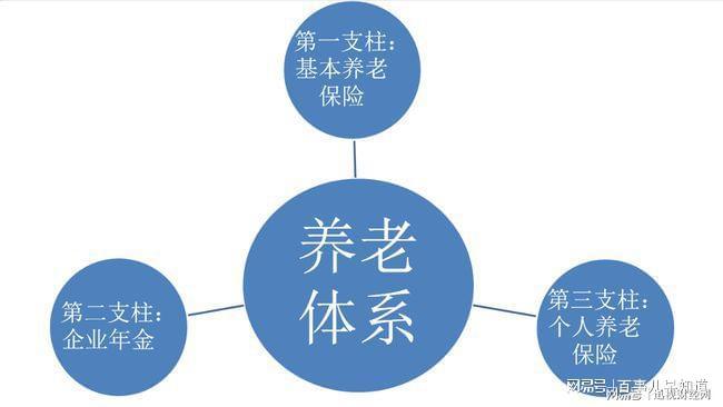 政府面对社会养老压力挑战的策略应对之道