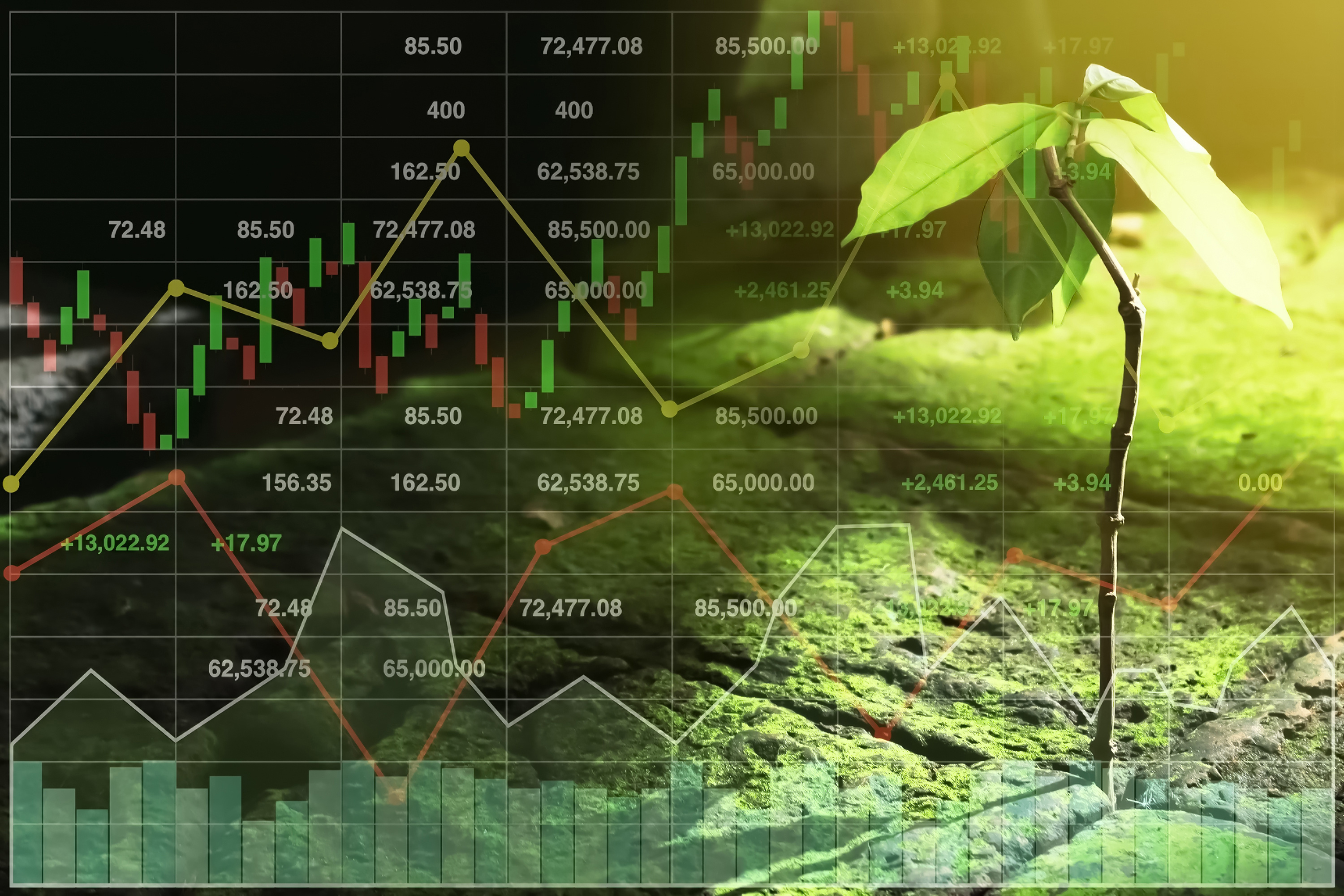 绿色金融发展法律保障强化措施探讨