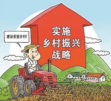 乡村振兴战略下政府职责与挑战解析