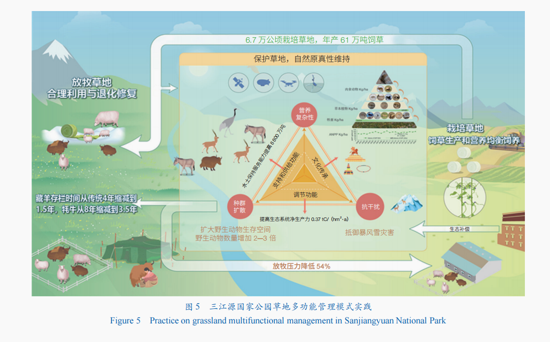 政府实践探索推动生物多样性保护之路