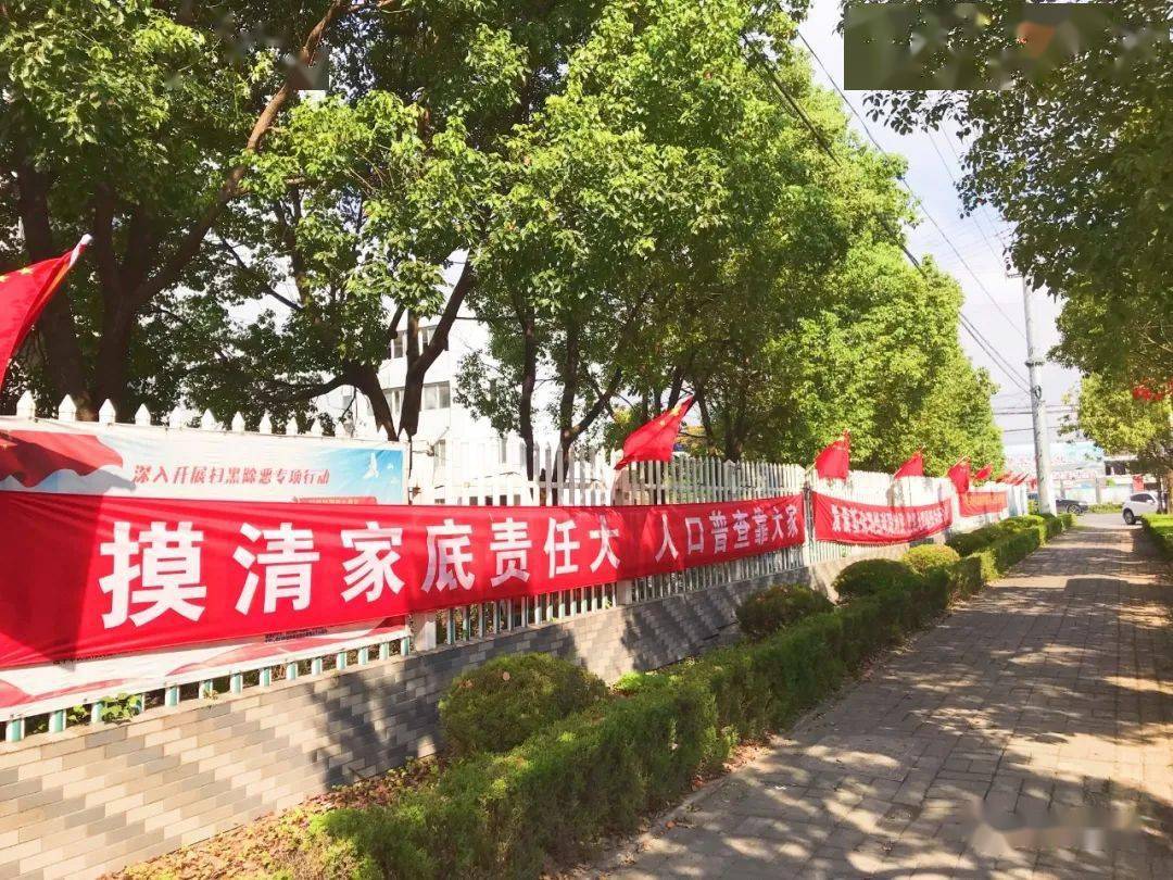 白蒲镇政府新闻发布，新动态与举措