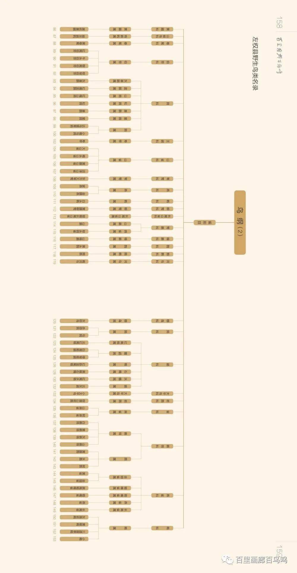 左权政府新闻网站，权威信息传达，公众需求服务平台