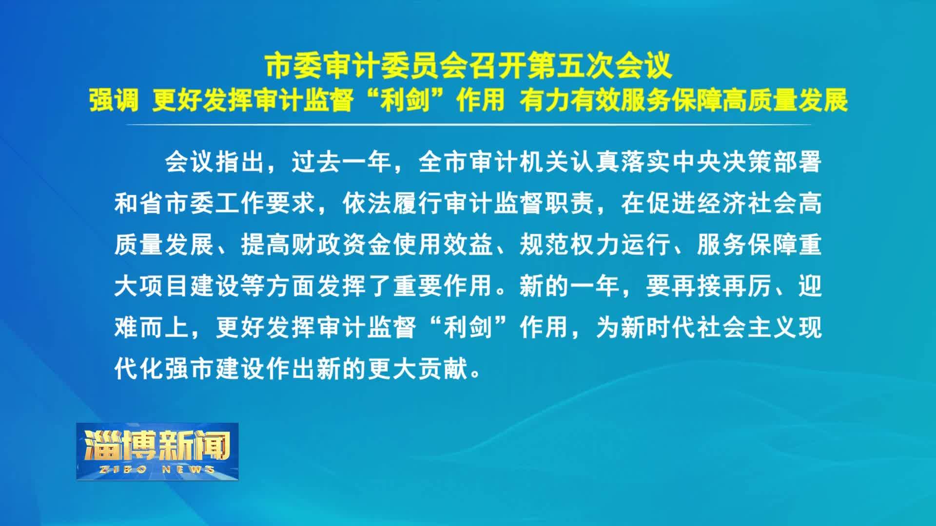 政府审计新闻揭秘，职能、作用及最新动态