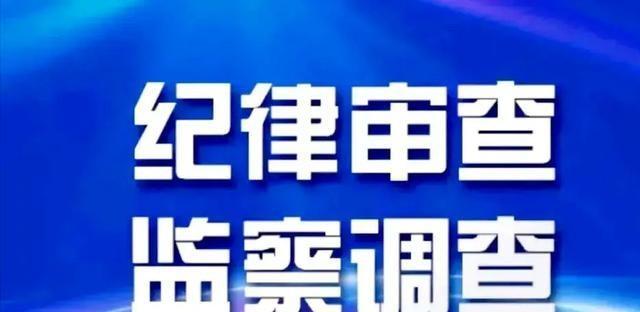 麻城政府新闻网，连接政府与民众的互动桥梁