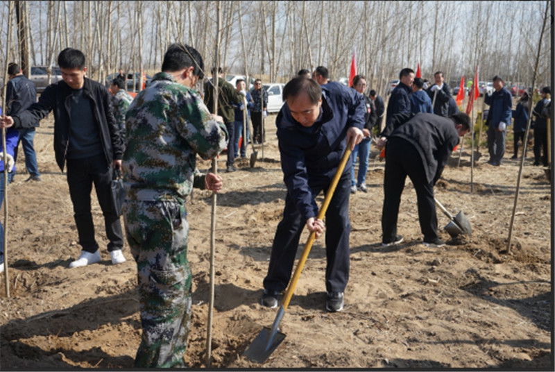 政府职工植树活动，共建绿色家园，共创美好明天