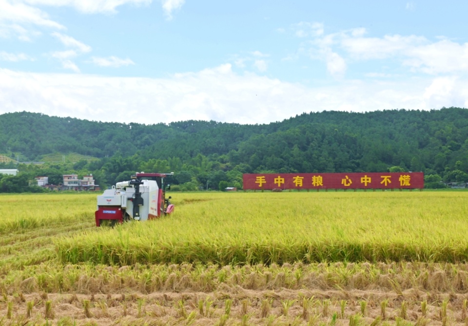 墨脱县特色农业与乡村振兴融合模式探究