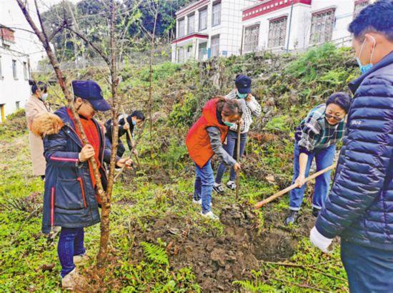 墨脱县加强公共卫生体系建设，筑牢居民健康防线