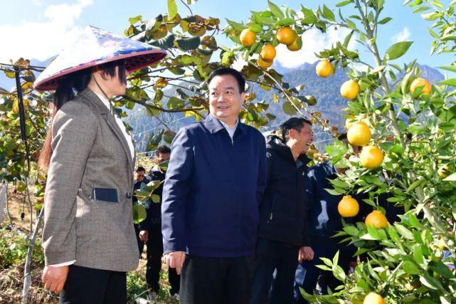 墨脱县加强农村基础设施建设，振兴乡村共筑美好未来