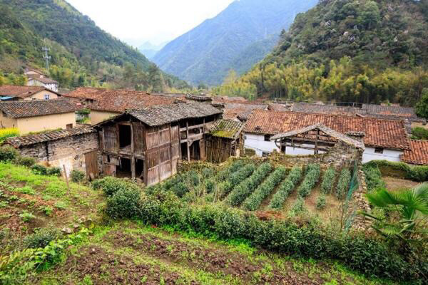 墨脱县强化乡村人才培养，助力地方经济腾飞