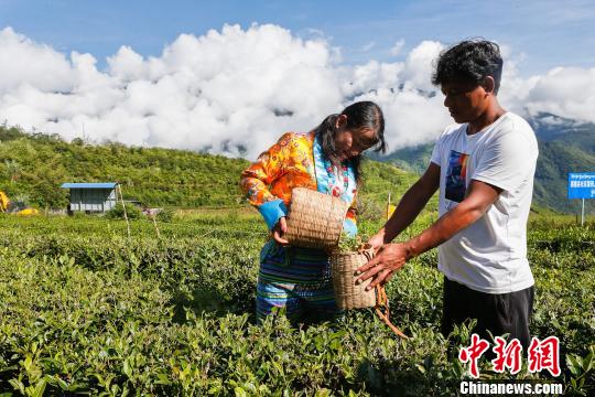 墨脱县推动农业产业化，助力农民生活质量提升