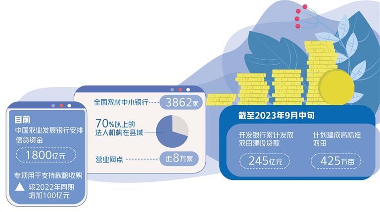 国家加强农村金融服务的扶持措施与策略