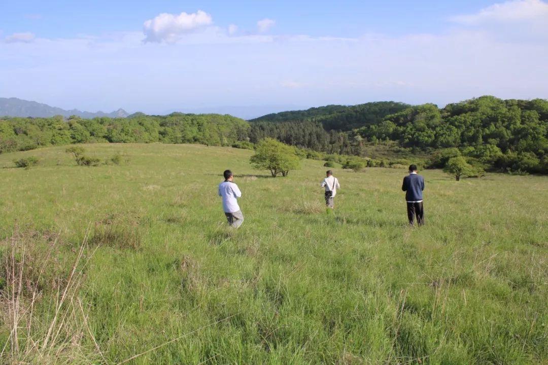 政府加强生态文明建设的社会动员策略与实践探索