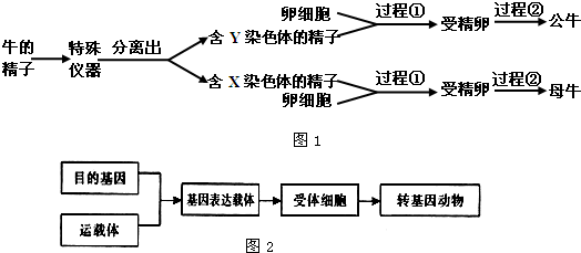 2025年1月5日 第3页