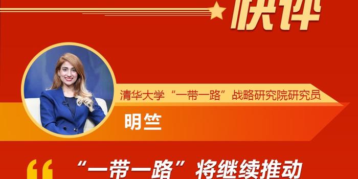 政府跨境环保合作应对全球挑战的策略与行动