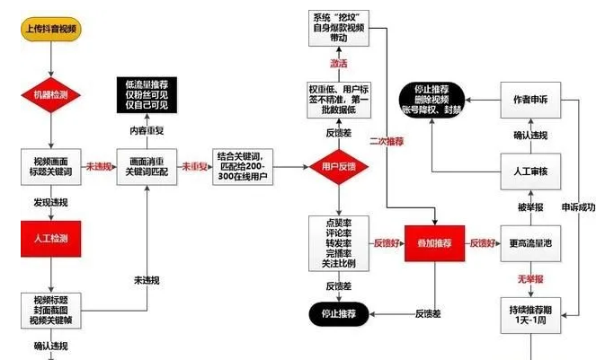 抖音算法揭秘，你的视频为何总缺流量？