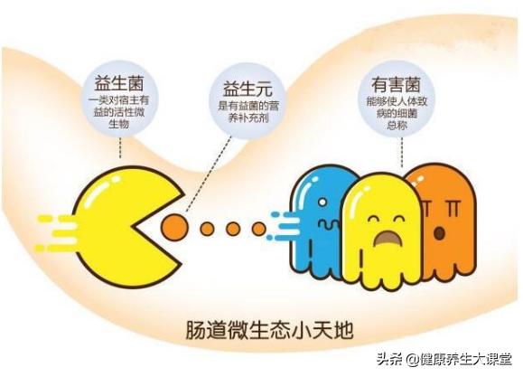 肠胃调理全指南，益生菌与益生元区别及科学应用解析